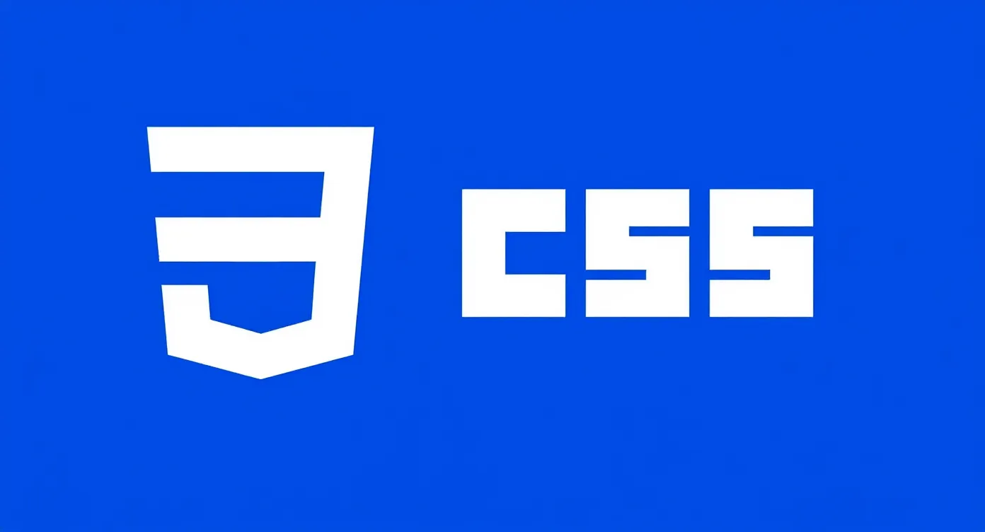 css3